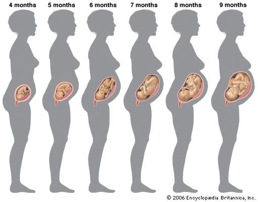 Conferenza sui cambiamenti fisici emotivi e relazionali della donna in gravidanza